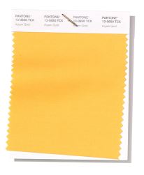 ASPEN GOLD