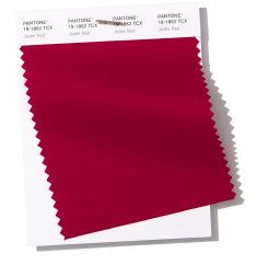 JESTER RED