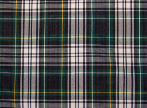 Augusta Plaid NEW